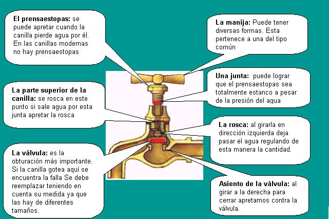 Las medicinas contra las lombrices a los gatitos y el precio